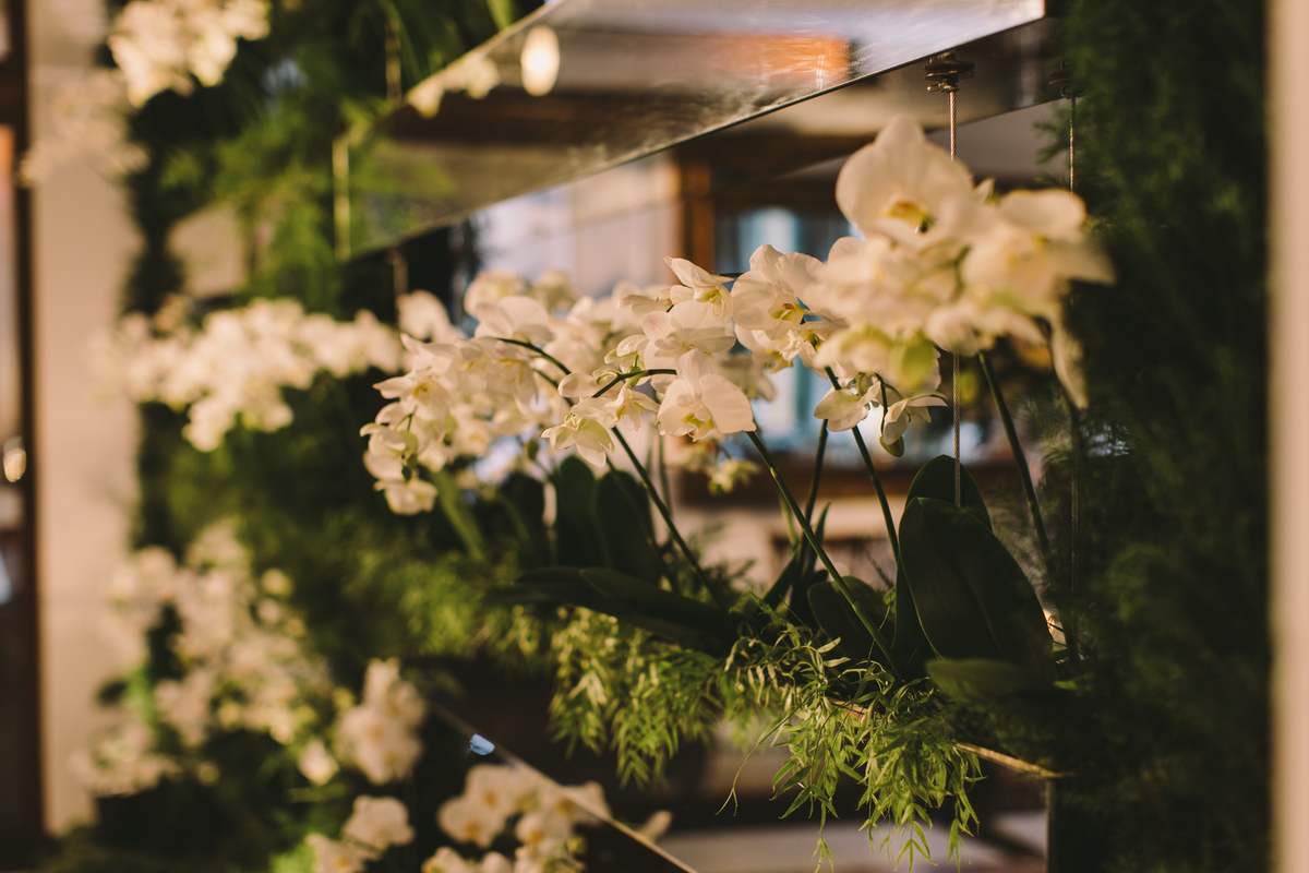 Floreiras de orquídeas