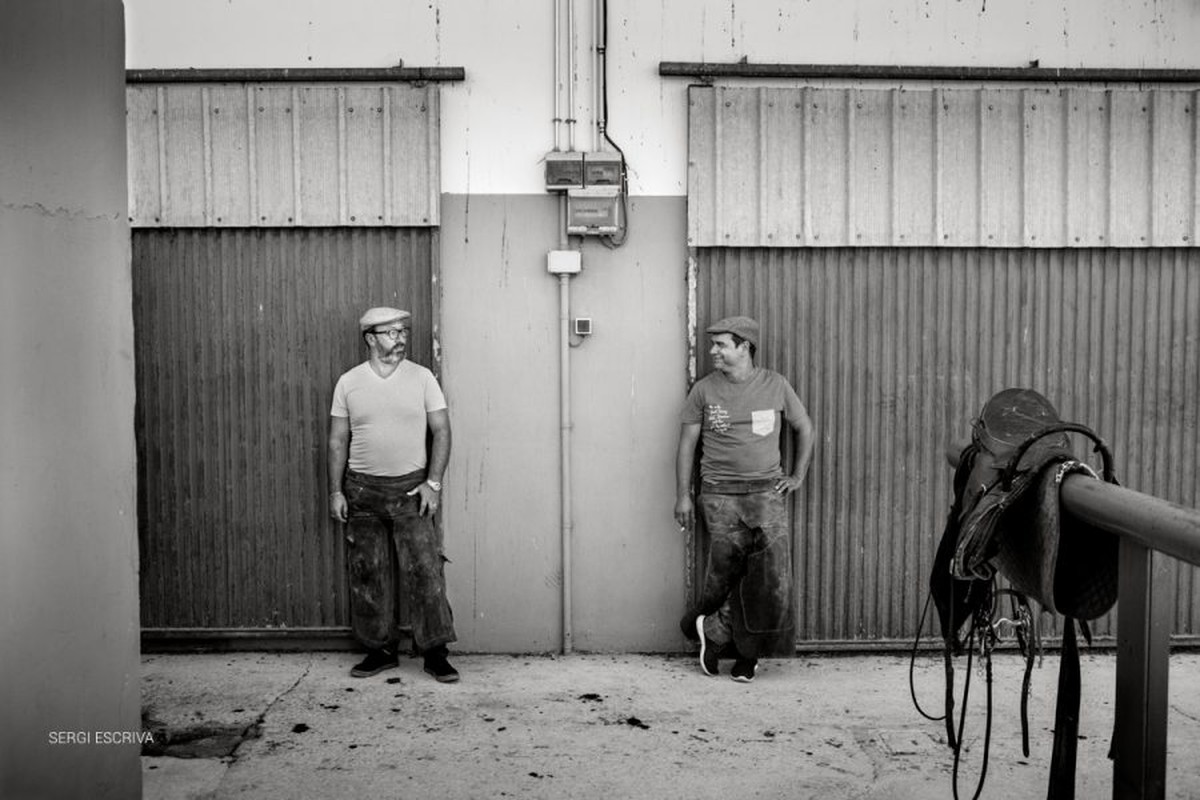 Boda en San Marcos. Francesc y Victor