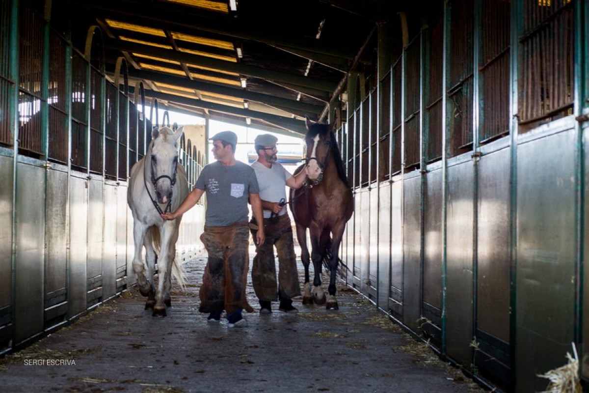 Boda en San Marcos. Francesc y Victor
