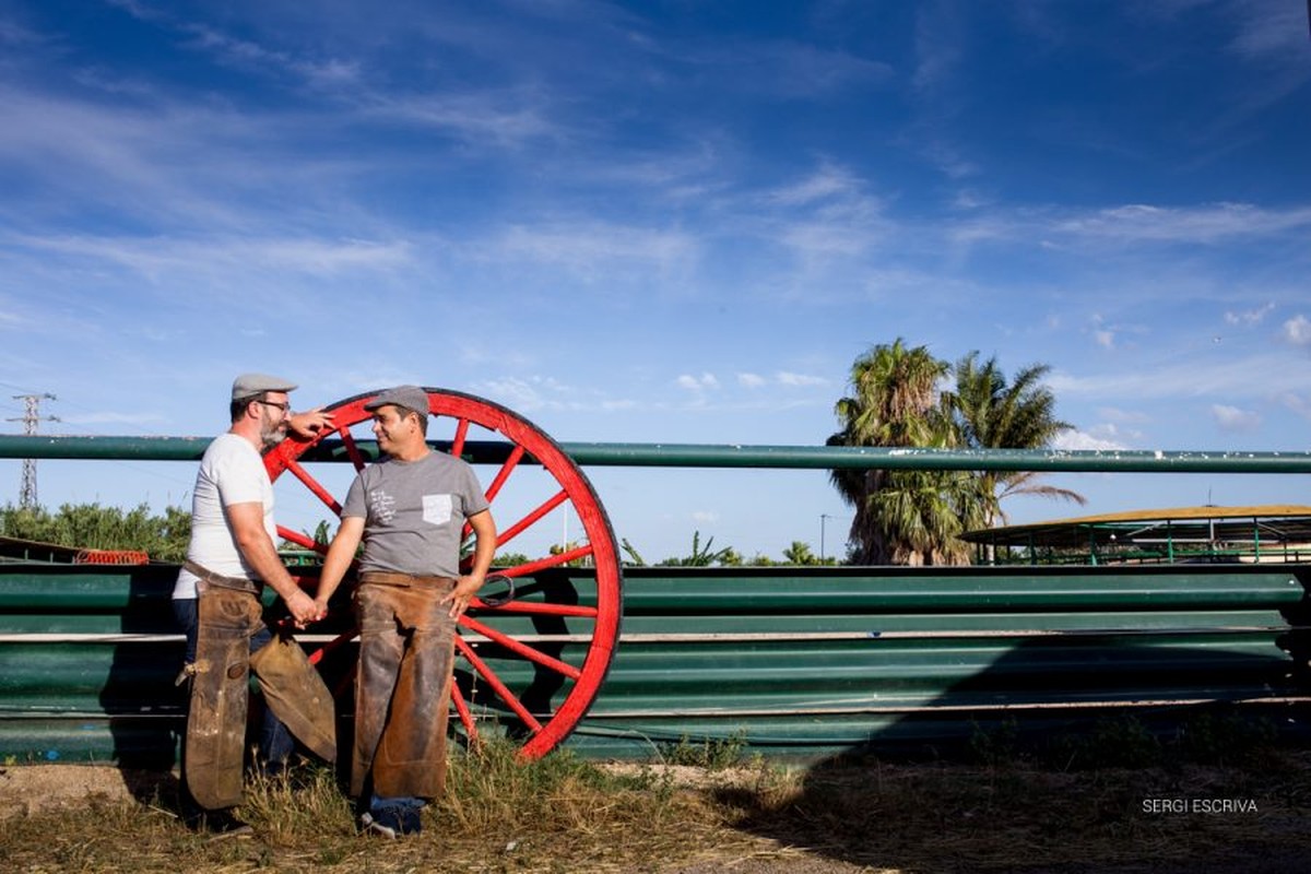 Boda en San Marcos. Francesc y Victor