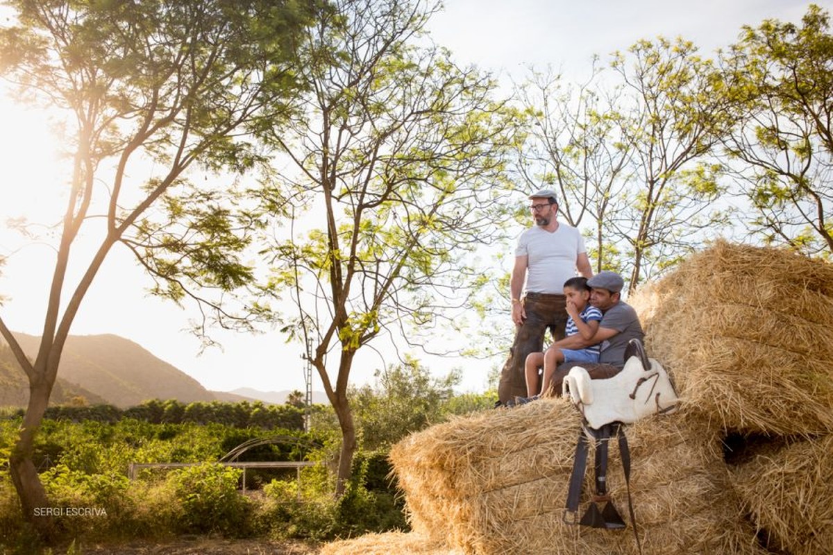 Boda en San Marcos. Francesc y Victor
