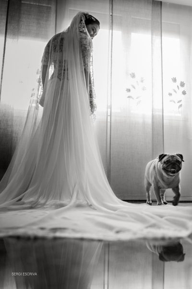 Boda en Masia del Carmen. Valencia. España. Estela y Jesús. El festival de nuestra vida