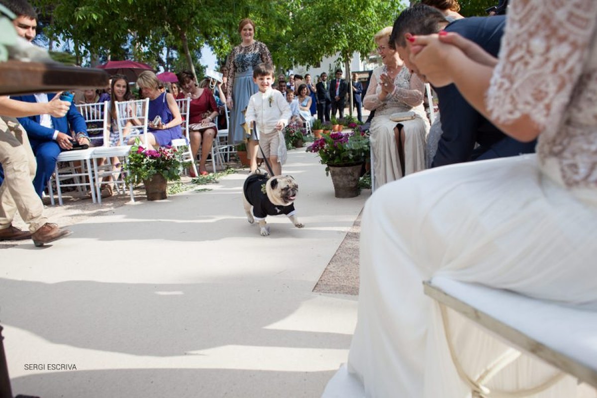 Boda en Masia del Carmen. Valencia. España. Estela y Jesús. El festival de nuestra vida