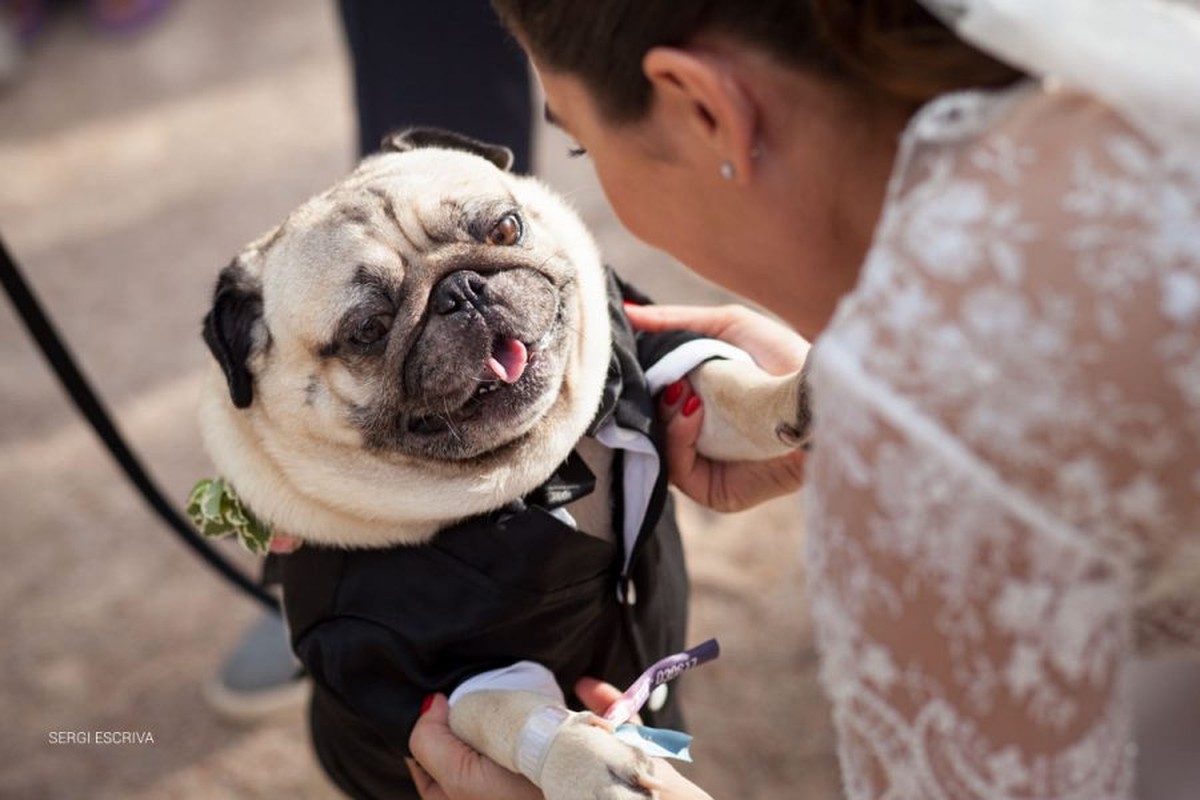 Boda en Masia del Carmen. Valencia. España. Estela y Jesús. El festival de nuestra vida