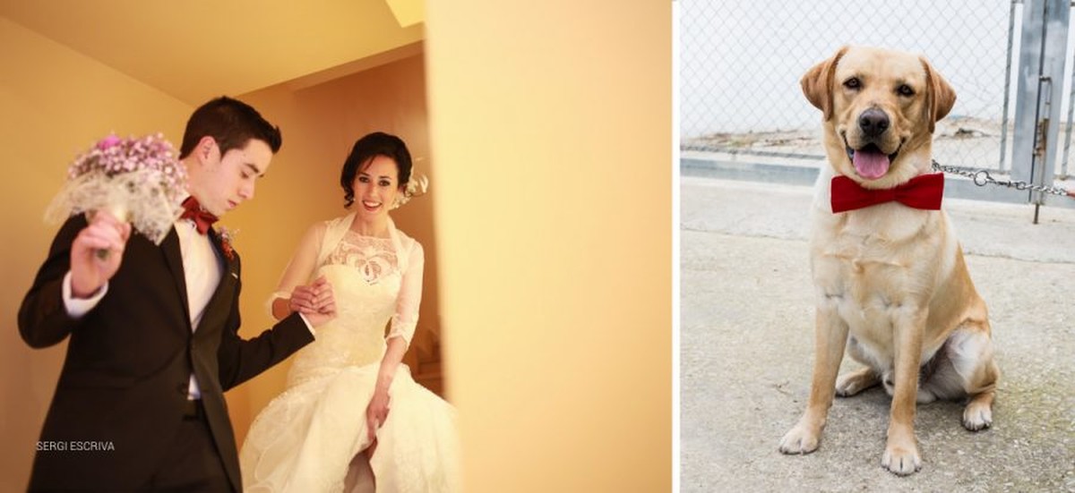 Edu i Anna. Boda en el Hotel Bayren