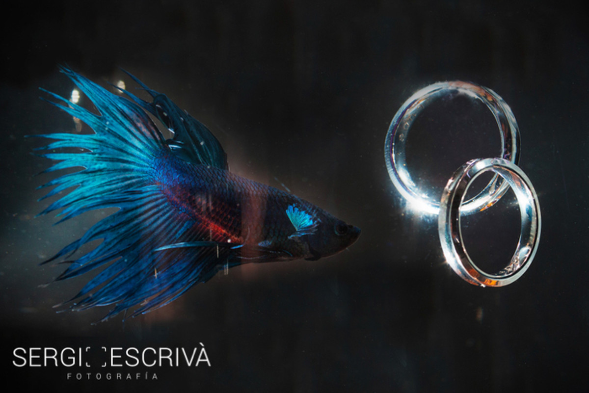 Sergi Eescriva Fotografia