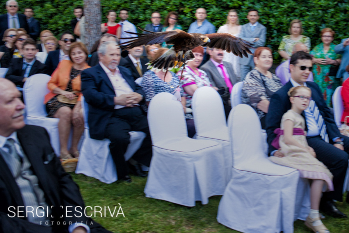 Sergi Escriva Fotografia