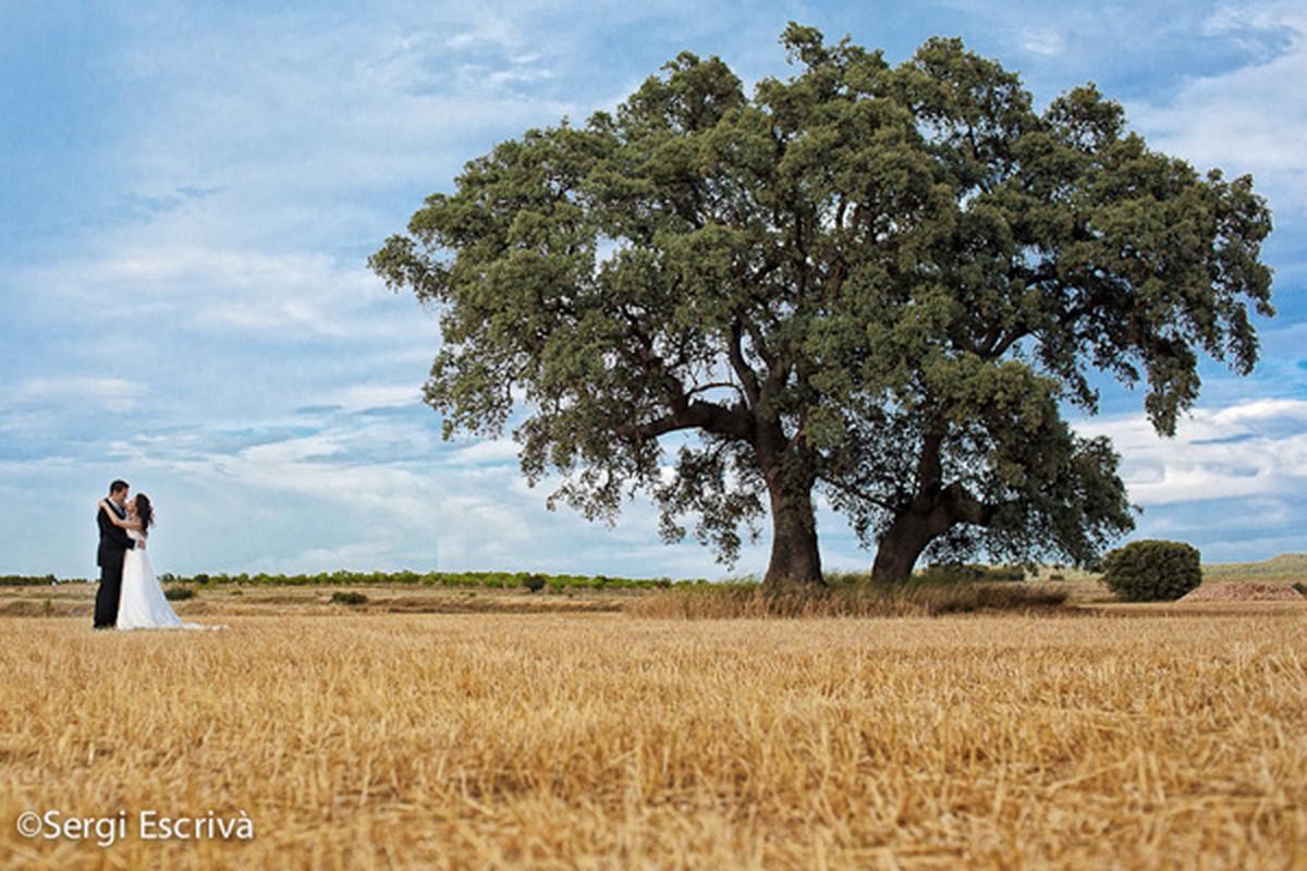 Postoda en Almansa, Pablo + Isa