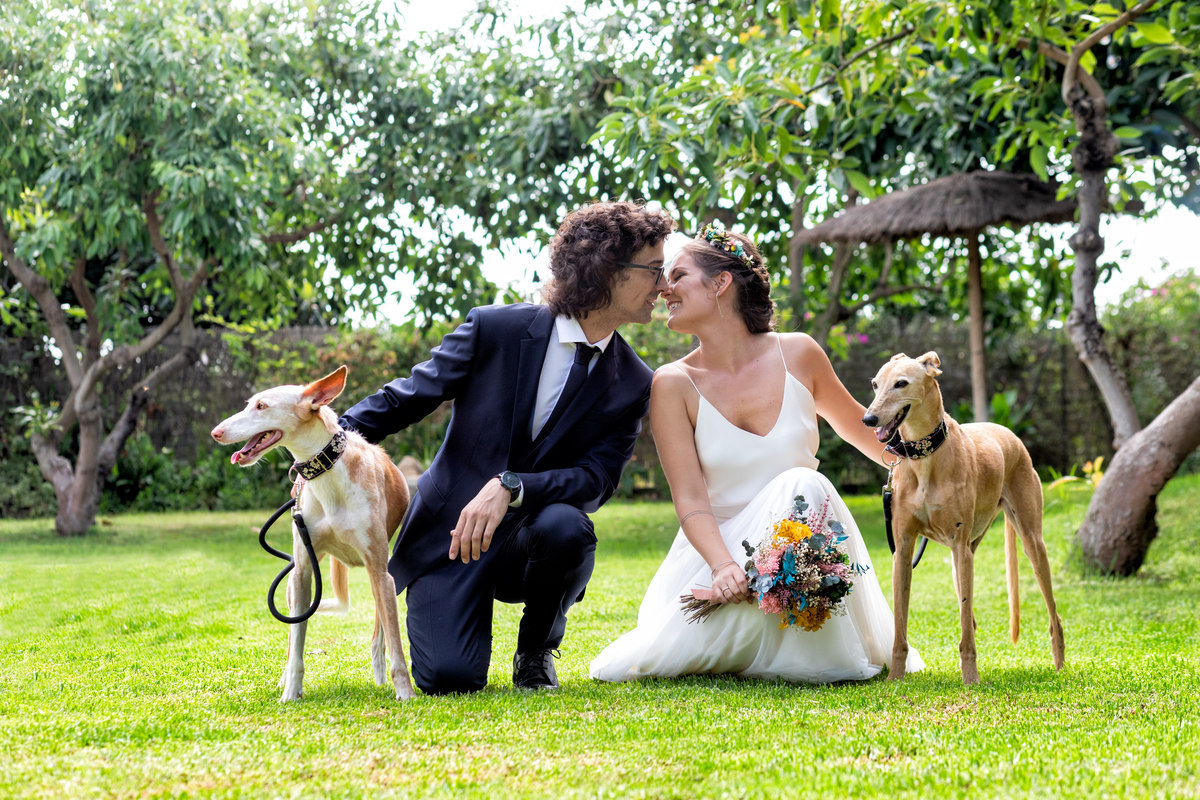 Retrato de los novios con sus perros
