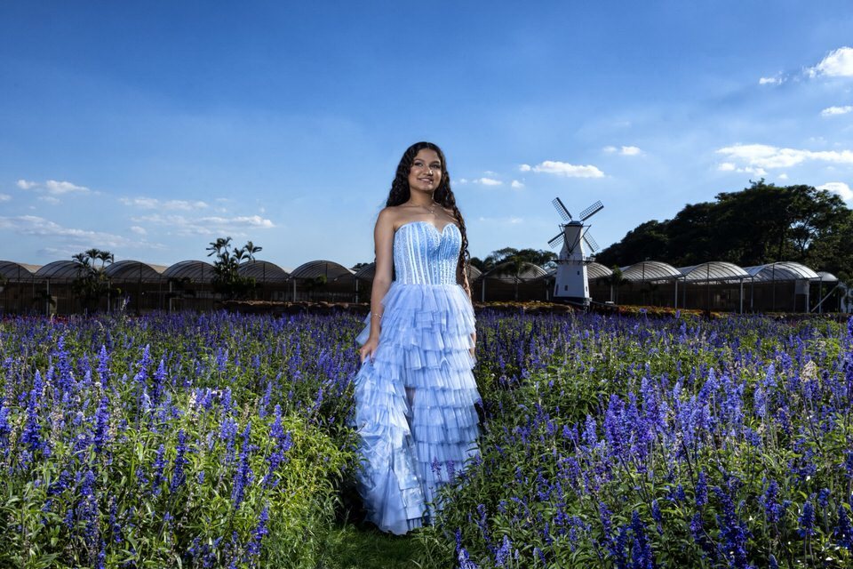 Fotógrafo de debutante em Holambra em ensaio no Macena Flores, com jovem de vestido azul em um campo de lavandas e um moinho holandês ao fundo.