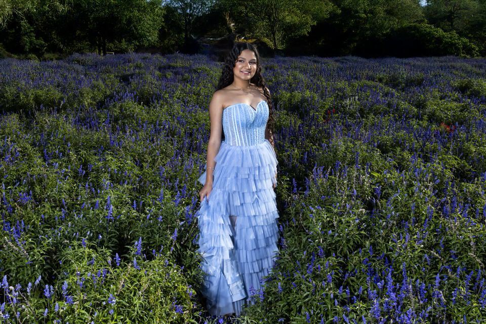 Fotógrafo de debutante em Holambra em ensaio no Macena Flores, com jovem de vestido azul em meio a um imenso campo de flores roxas.