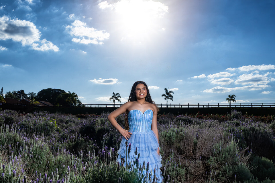 A beleza de um dia de sol no Macena Flores para seu ensaio de 15 anos. Fotógrafo de debutante em Holambra captura a jovem em seu vestido azul em meio às lavandas.