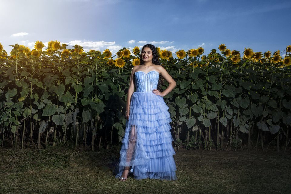 Fotógrafo de debutante em Holambra realiza ensaio em um campo de girassóis, com jovem de vestido azul posando em frente às flores sob o céu azul.