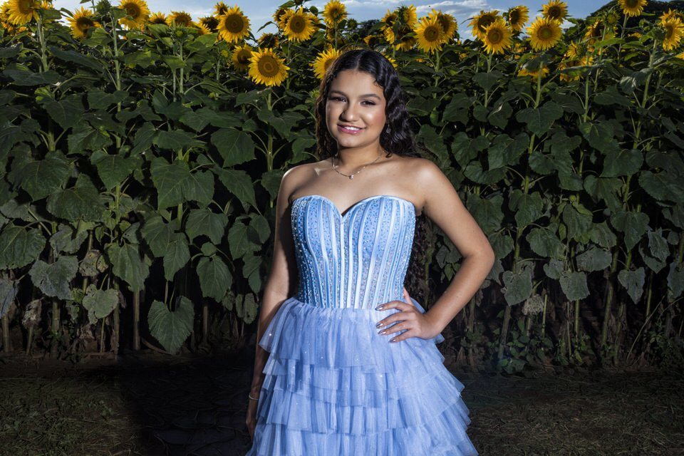 Realize o sonho do ensaio de 15 anos no campo de girassóis. Fotógrafo de debutante em Holambra garante o retrato perfeito, como o desta jovem em seu vestido azul.