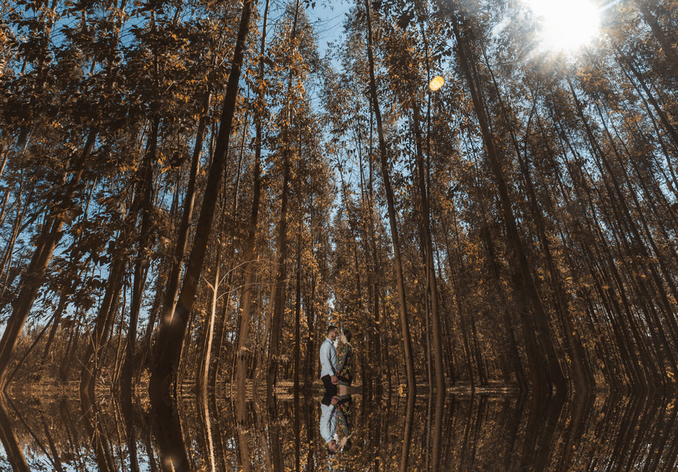 Pré Wedding Daniela e Wanderlei em Holambra- SP realizado pelo fotógrafo de casamento de São Paulo