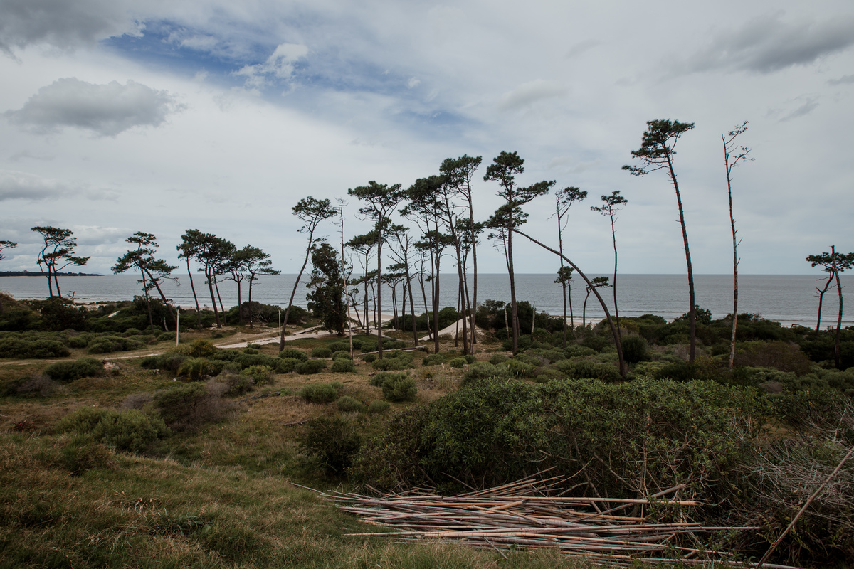 boda en costa atlantida uruguay 