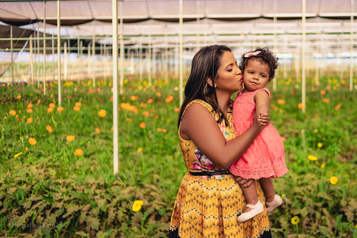 Ensaio fotográfico família em Holambra. JD Fotografia - Casais, grávidas, gestantes, família, fotos, fotografia, gravidez- Santo André, ABC, SP, Grande ABC, São Bernardo, São Caetano.  Whatsapp: (11) 95047-7618
