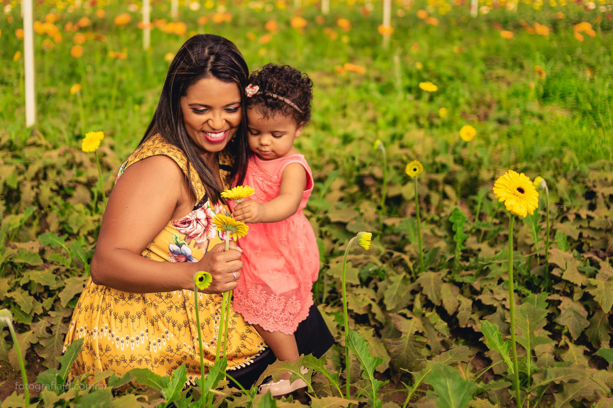 Ensaio fotográfico família em Holambra. JD Fotografia - Casais, grávidas, gestantes, família, fotos, fotografia, gravidez- Santo André, ABC, SP, Grande ABC, São Bernardo, São Caetano.  Whatsapp: (11) 95047-7618