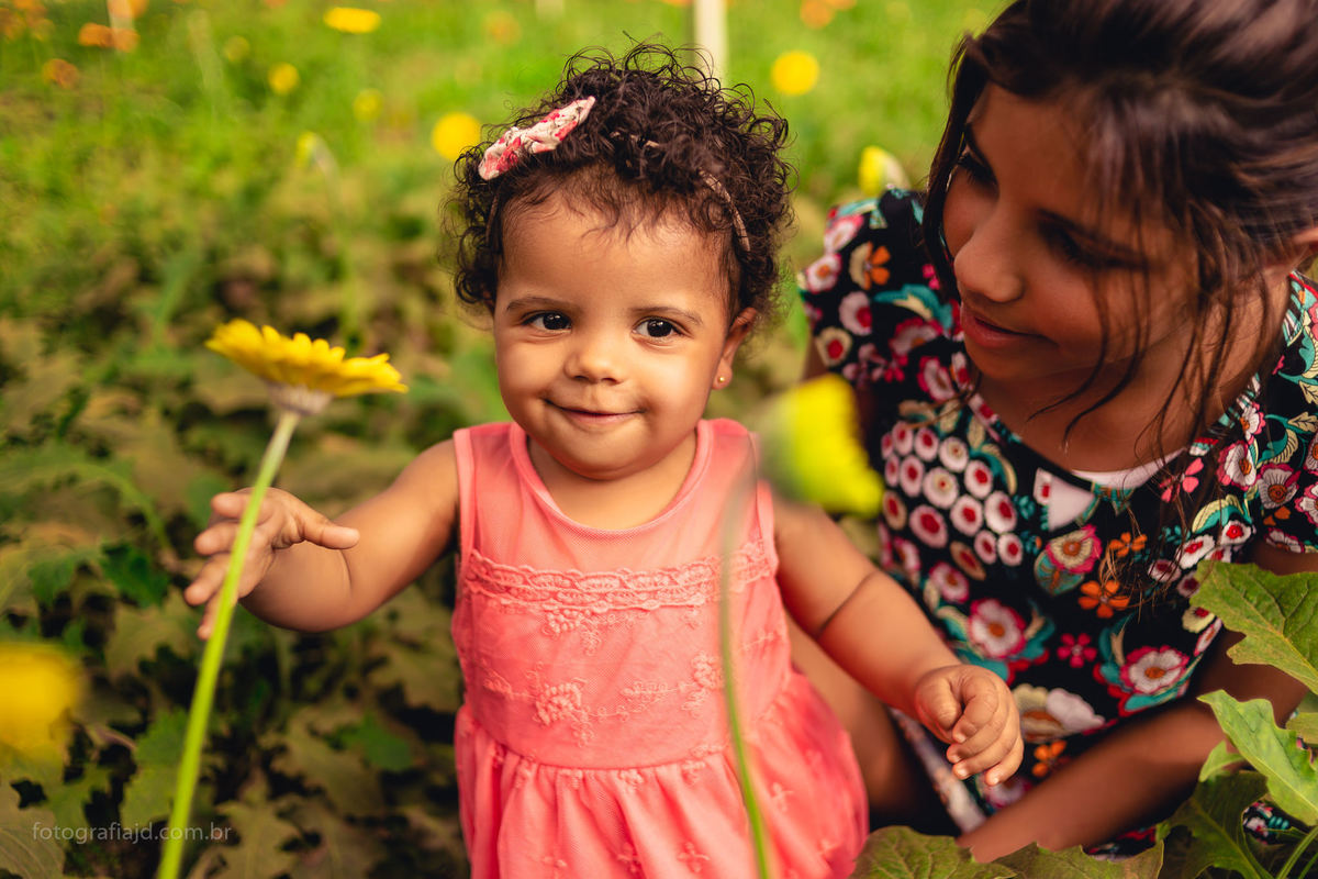 Ensaio fotográfico família em Holambra. JD Fotografia - Casais, grávidas, gestantes, família, fotos, fotografia, gravidez- Santo André, ABC, SP, Grande ABC, São Bernardo, São Caetano.  Whatsapp: (11) 95047-7618