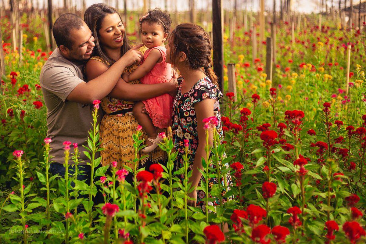 Ensaio fotográfico família em Holambra. JD Fotografia - Casais, grávidas, gestantes, família, fotos, fotografia, gravidez- Santo André, ABC, SP, Grande ABC, São Bernardo, São Caetano.  Whatsapp: (11) 95047-7618