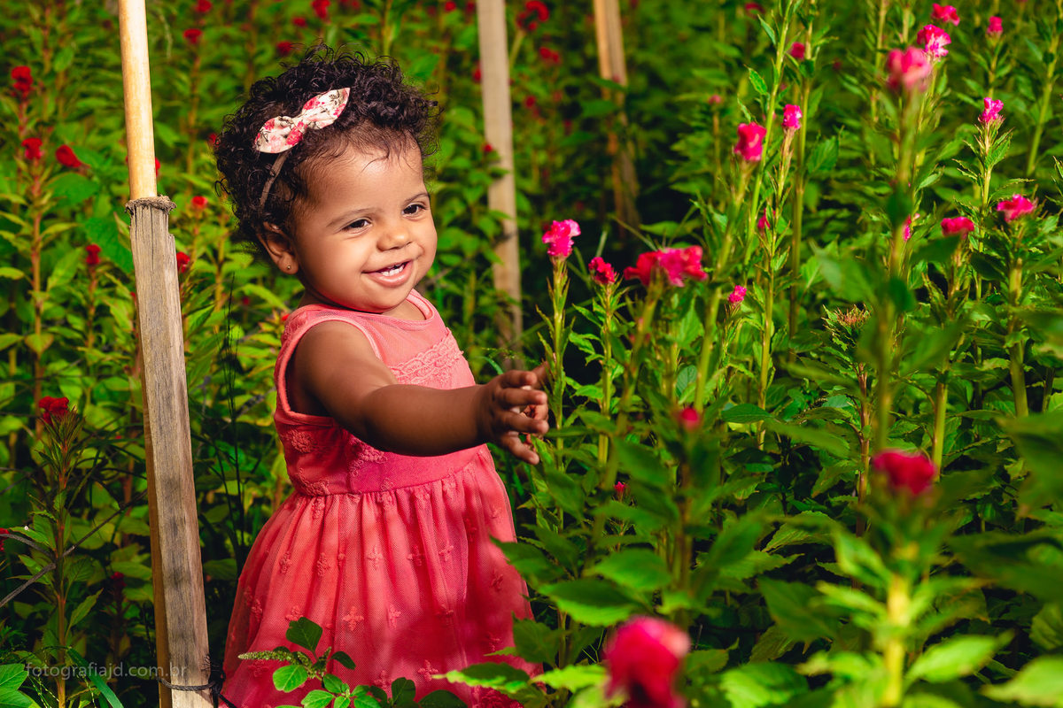 Ensaio fotográfico família em Holambra. JD Fotografia - Casais, grávidas, gestantes, família, fotos, fotografia, gravidez- Santo André, ABC, SP, Grande ABC, São Bernardo, São Caetano.  Whatsapp: (11) 95047-7618
