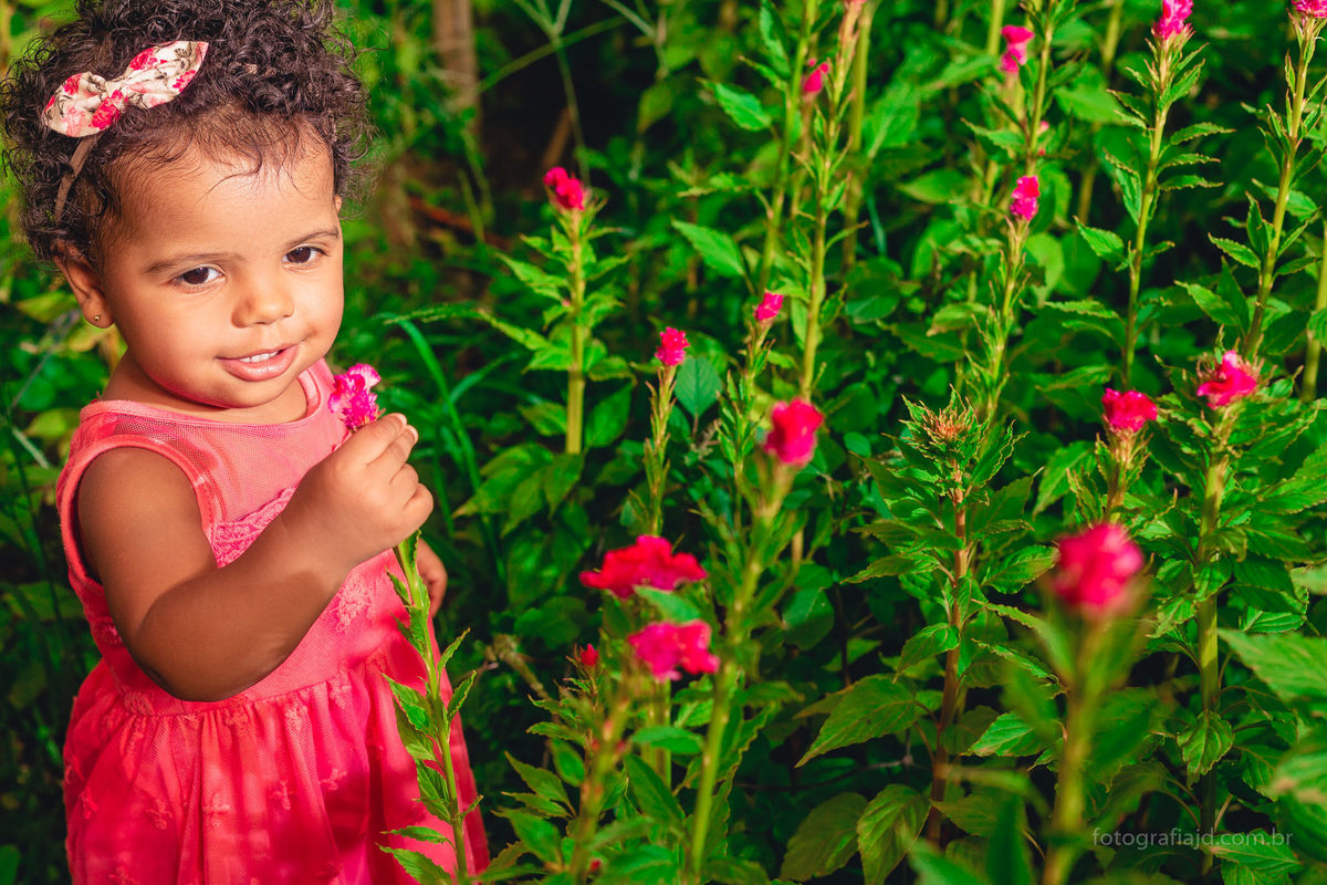 Ensaio fotográfico família em Holambra. JD Fotografia - Casais, grávidas, gestantes, família, fotos, fotografia, gravidez- Santo André, ABC, SP, Grande ABC, São Bernardo, São Caetano.  Whatsapp: (11) 95047-7618