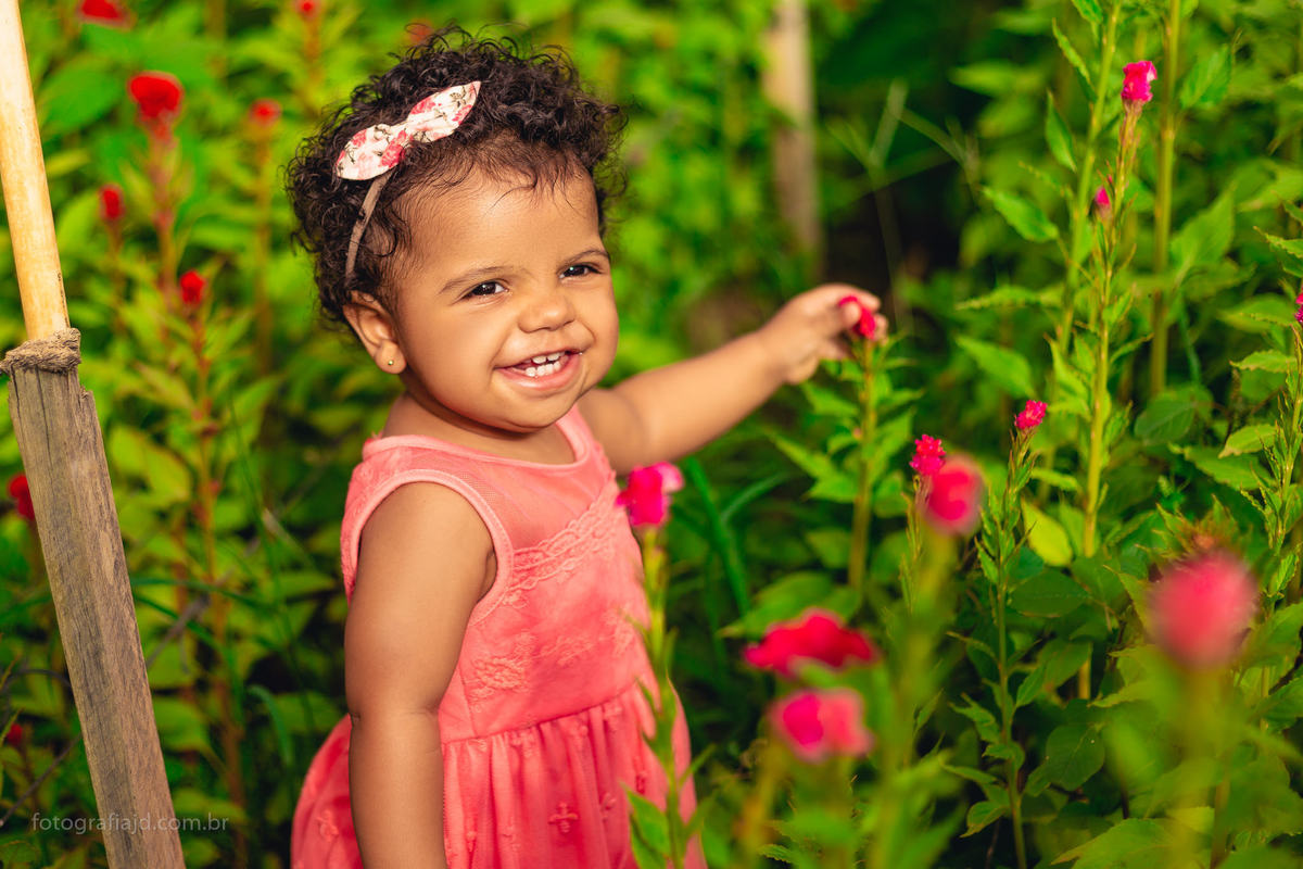 Ensaio fotográfico família em Holambra. JD Fotografia - Casais, grávidas, gestantes, família, fotos, fotografia, gravidez- Santo André, ABC, SP, Grande ABC, São Bernardo, São Caetano.  Whatsapp: (11) 95047-7618