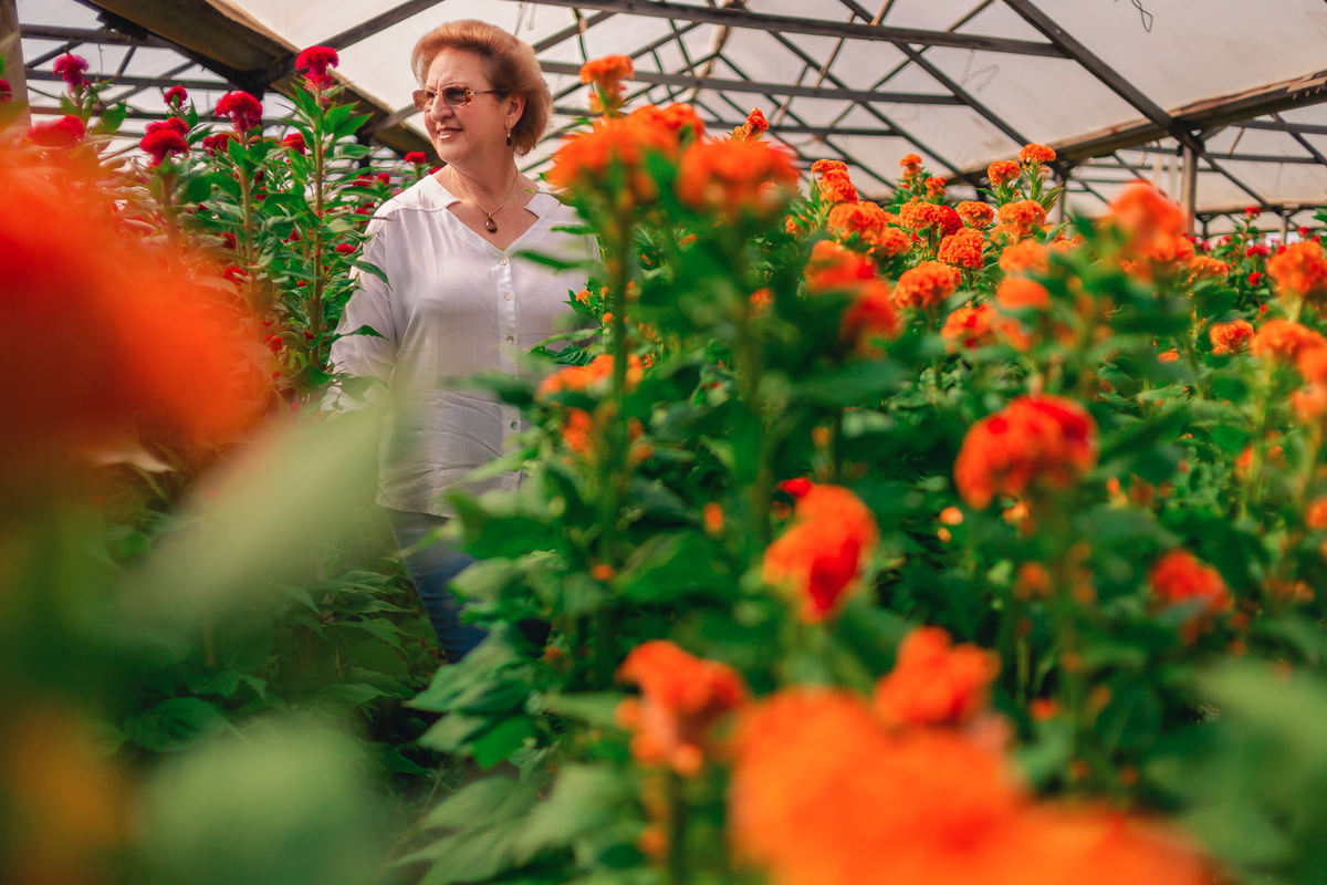 Ensaio fotográfico feminino e família em Holambra. JD Fotografia - Casais, grávidas, gestantes, família, fotos, fotografia, gravidez- Santo André, ABC, SP, Grande ABC, São Bernardo, São Caetano.  Whatsapp: (11) 95047-7618