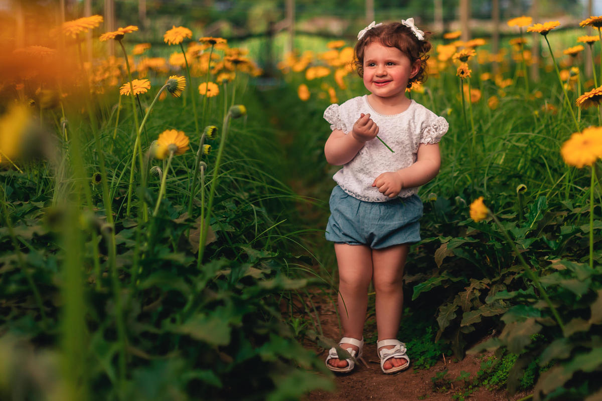 Ensaio fotográfico feminino e família em Holambra. JD Fotografia - Casais, grávidas, gestantes, família, fotos, fotografia, gravidez- Santo André, ABC, SP, Grande ABC, São Bernardo, São Caetano.  Whatsapp: (11) 95047-7618