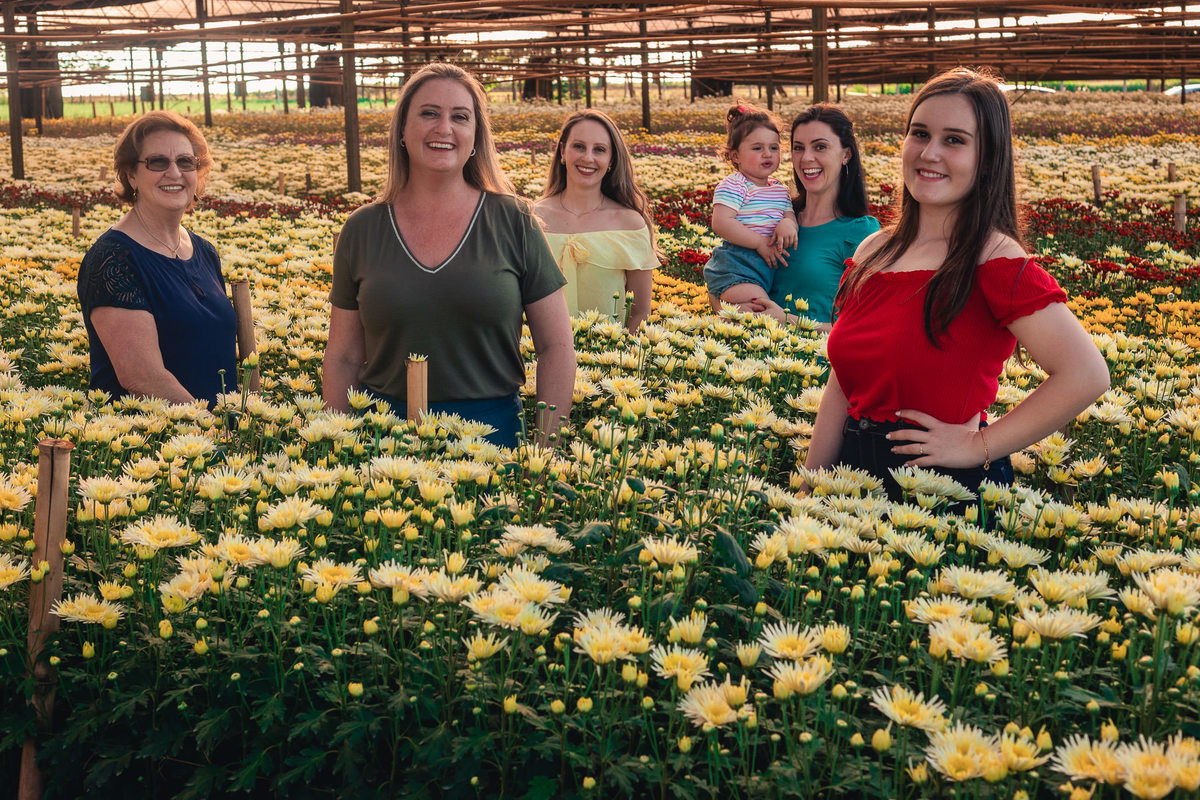 Ensaio fotográfico feminino e família em Holambra. JD Fotografia - Casais, grávidas, gestantes, família, fotos, fotografia, gravidez- Santo André, ABC, SP, Grande ABC, São Bernardo, São Caetano.  Whatsapp: (11) 95047-7618