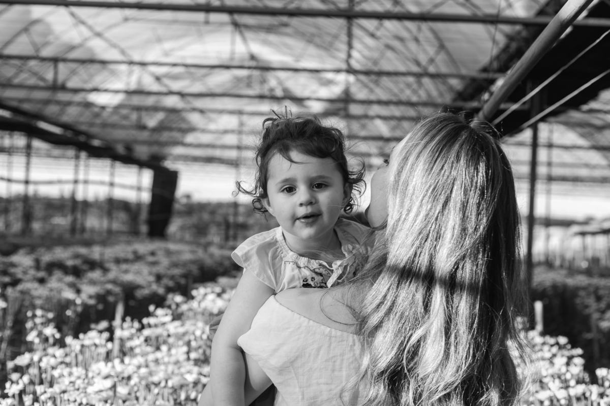 Ensaio fotográfico feminino e família em Holambra. JD Fotografia - Casais, grávidas, gestantes, família, fotos, fotografia, gravidez- Santo André, ABC, SP, Grande ABC, São Bernardo, São Caetano.  Whatsapp: (11) 95047-7618