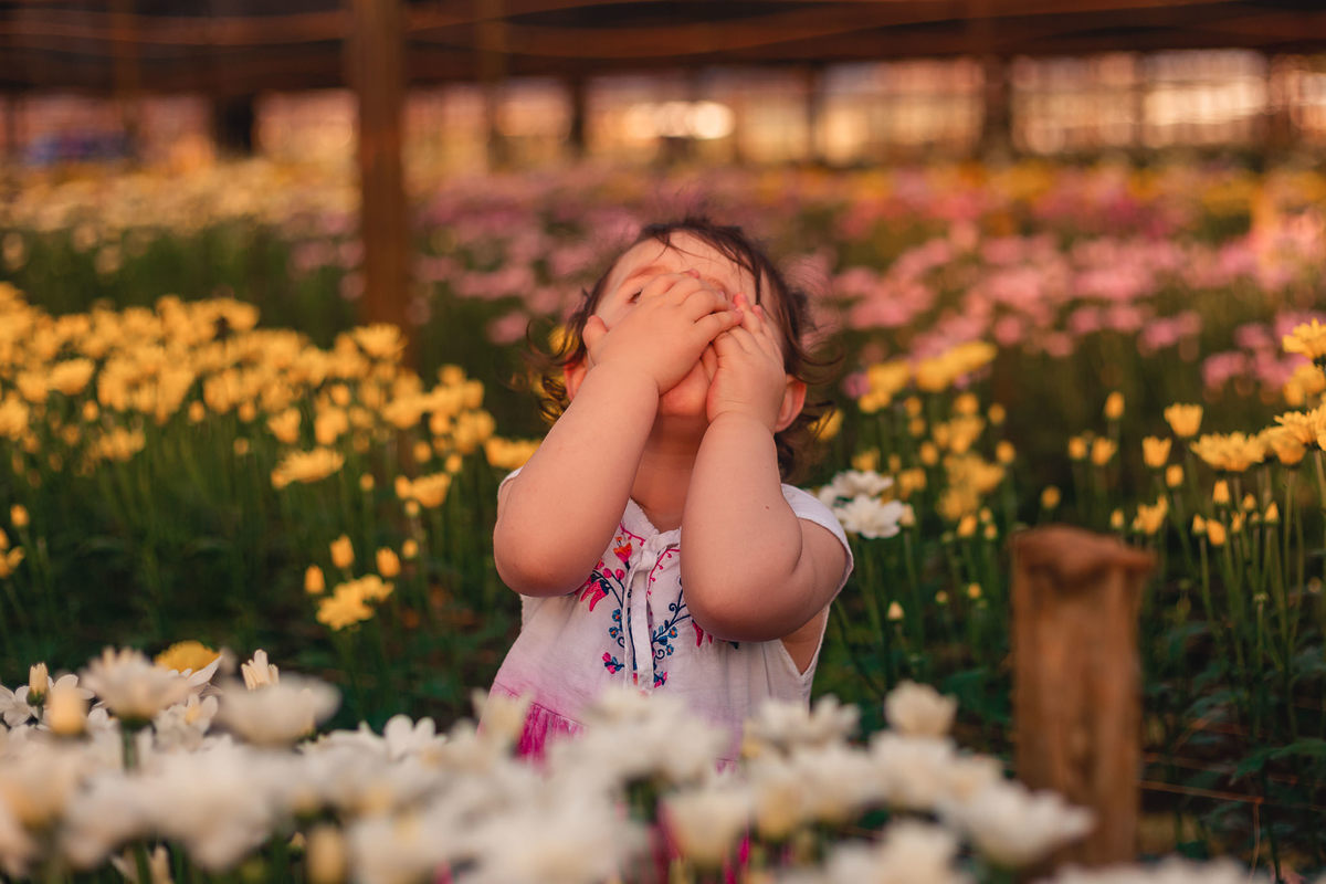 Ensaio fotográfico feminino e família em Holambra. JD Fotografia - Casais, grávidas, gestantes, família, fotos, fotografia, gravidez- Santo André, ABC, SP, Grande ABC, São Bernardo, São Caetano.  Whatsapp: (11) 95047-7618