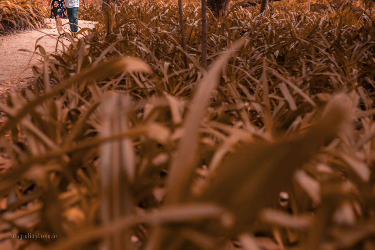 Ensaio fotográfico casal pré casamento em parque Ibirapuera. JD Fotografia - Casais, grávidas, gestantes, família, fotos, fotografia, gravidez- Santo André, ABC, SP, Grande ABC, São Bernardo, São Caetano.  Whatsapp: (11) 95047-7618