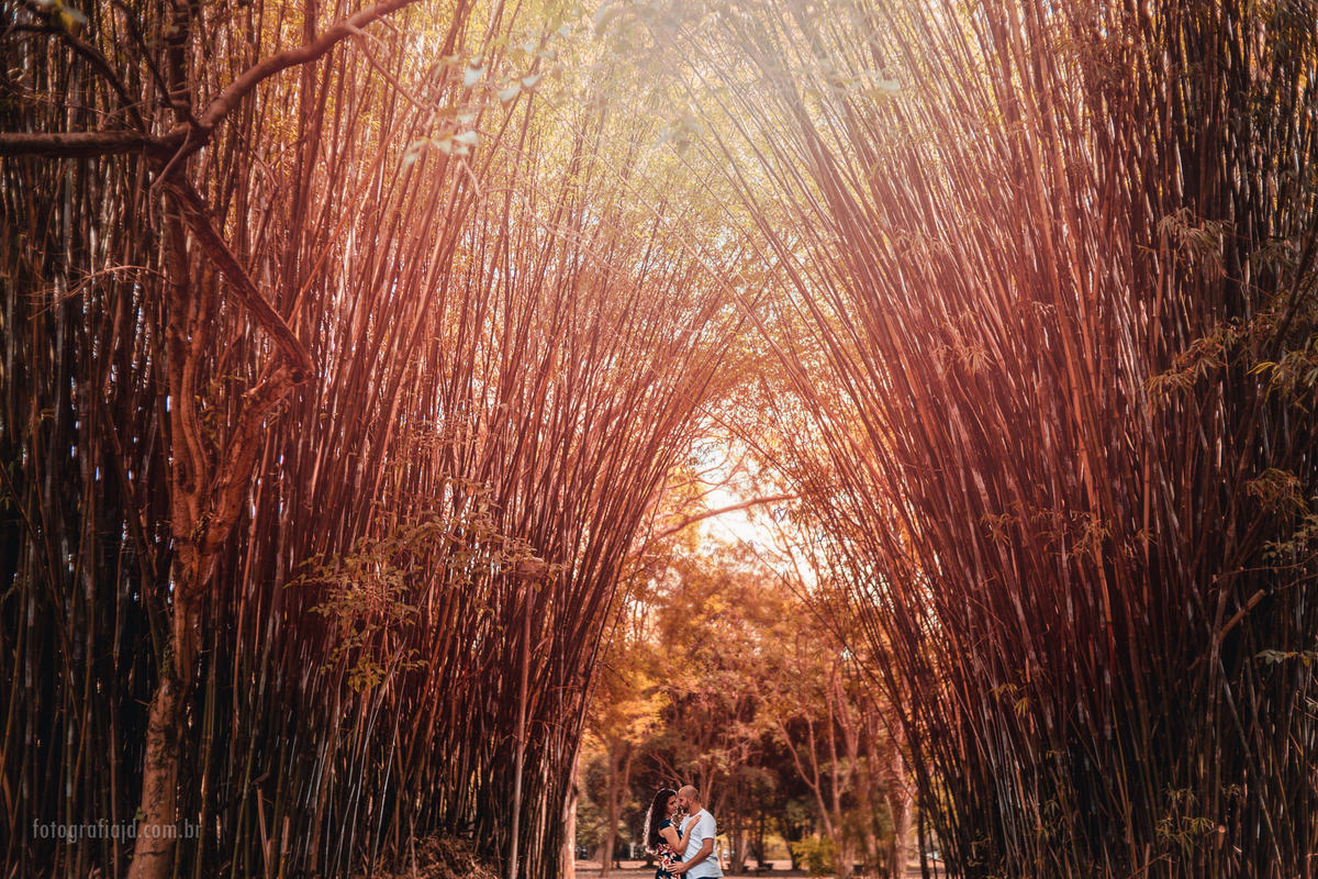 Ensaio fotográfico casal pré casamento em parque Ibirapuera. JD Fotografia - Casais, grávidas, gestantes, família, fotos, fotografia, gravidez- Santo André, ABC, SP, Grande ABC, São Bernardo, São Caetano.  Whatsapp: (11) 95047-7618