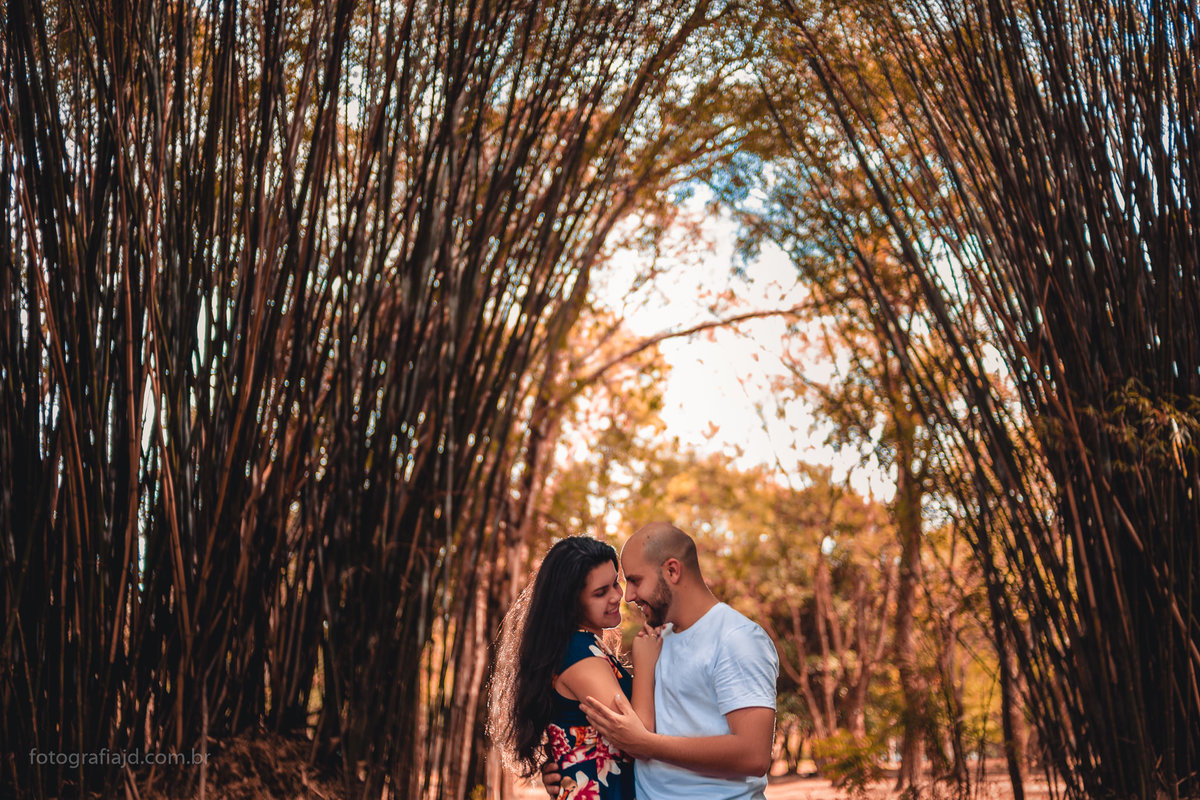 Ensaio fotográfico casal pré casamento em parque Ibirapuera. JD Fotografia - Casais, grávidas, gestantes, família, fotos, fotografia, gravidez- Santo André, ABC, SP, Grande ABC, São Bernardo, São Caetano.  Whatsapp: (11) 95047-7618