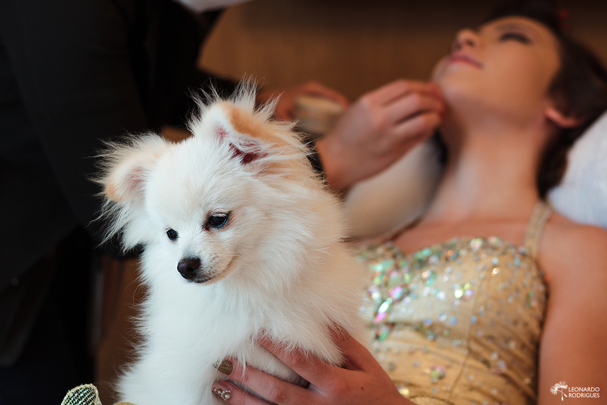 ensaio book 15 anos debutante em gramado beleza gramado dia de noiva dia de princesa fotografo