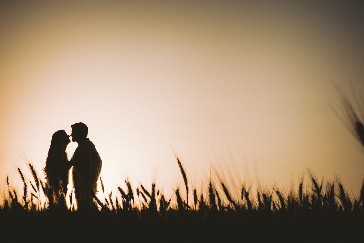 Silhueta casal por de sol trigo tons quentes muito amor