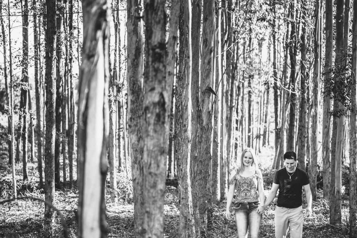 Angela e Ricardo Ensaio casal foto casal caminhando eucalipto arvores plantação
