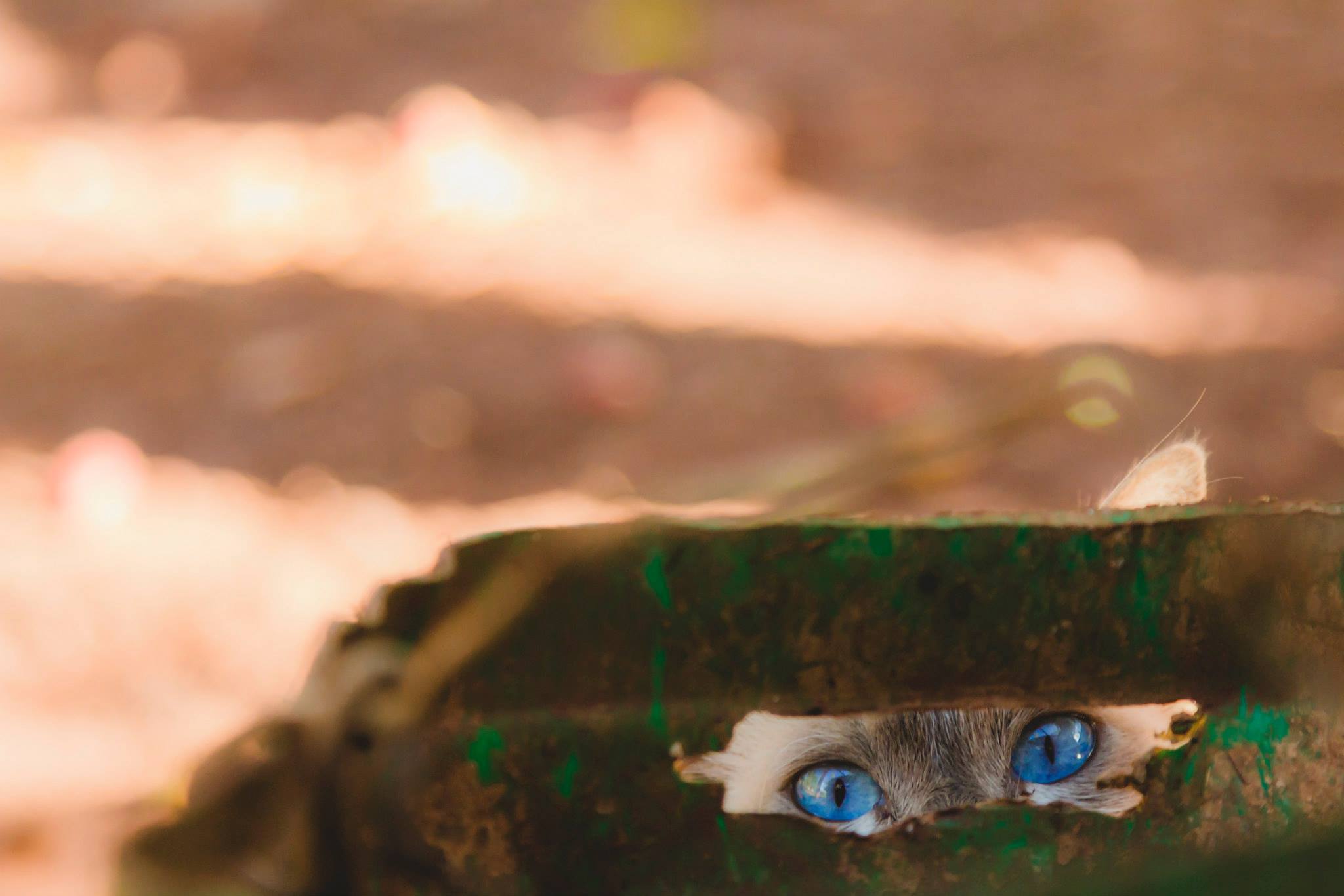 Contate André Bertogna Fotógrafo