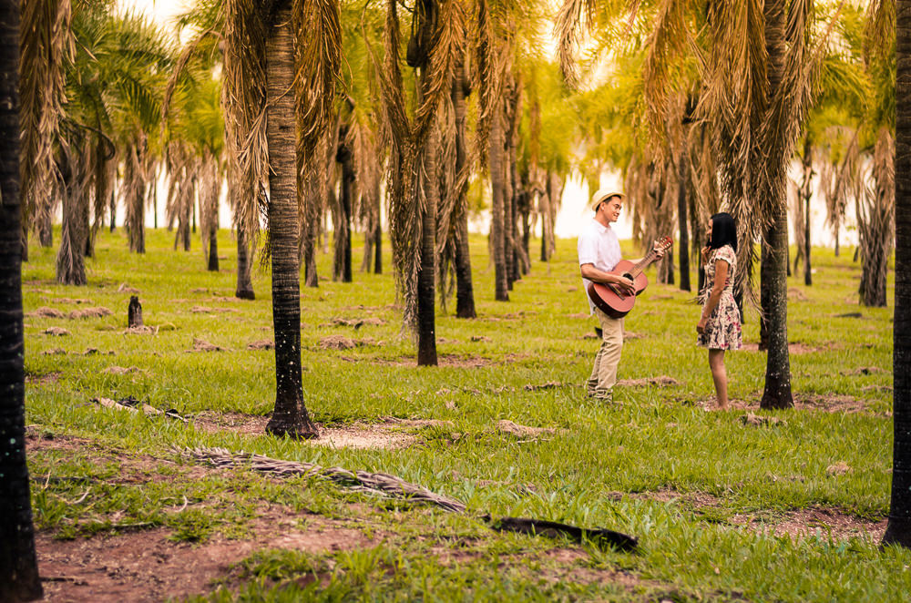 Fotografia do ensaio de pre casamento ou wedding dos noivos em um campo aberto com muitas plameiras e sol. Estão próximos, ele toca uma canção no violão para ela. Em Araçatuba, SP