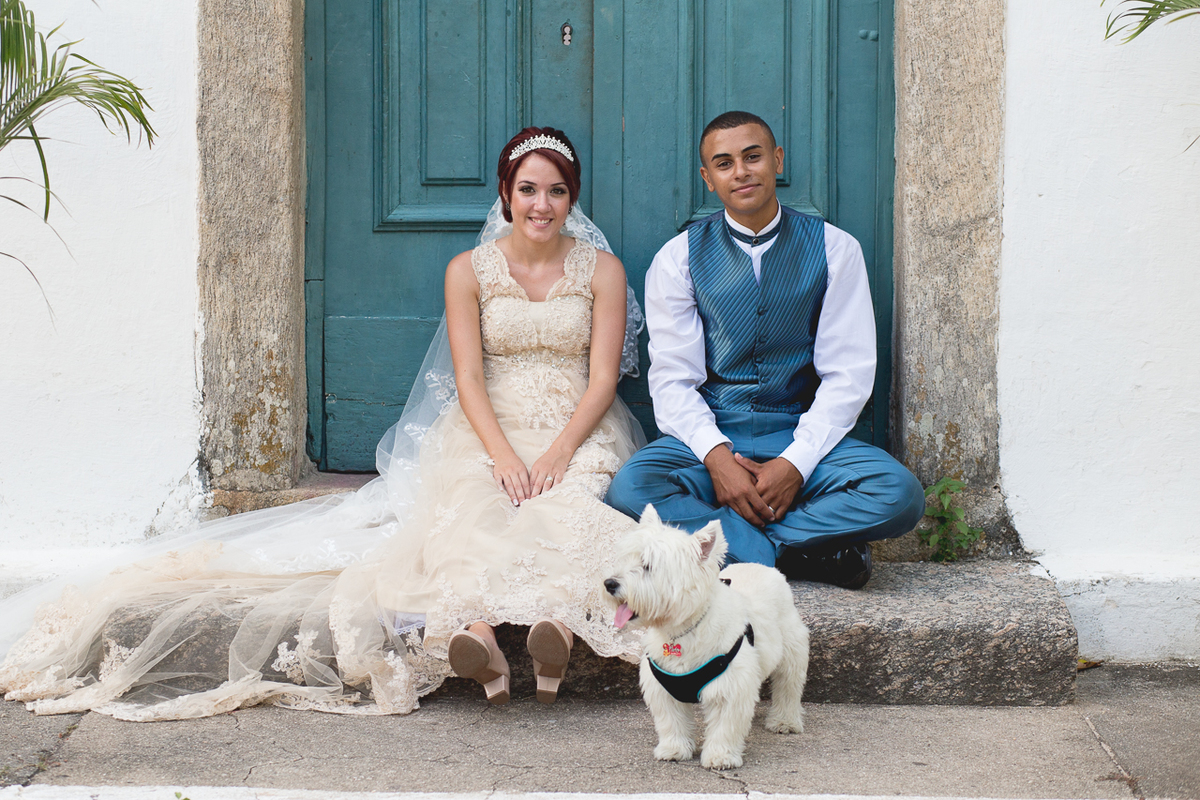 Casamento com cachorros / cães