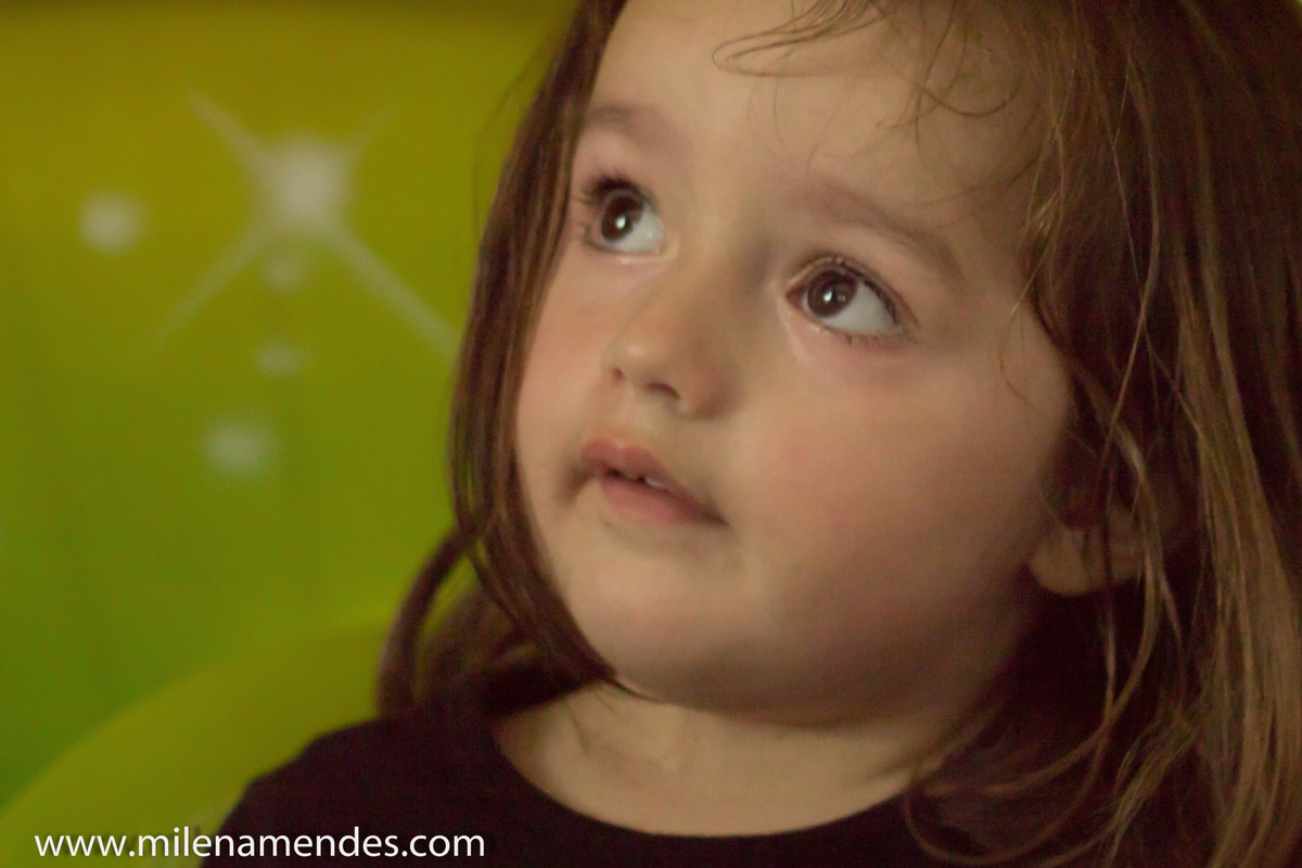 Book infantil Curitiba Milena Mendes