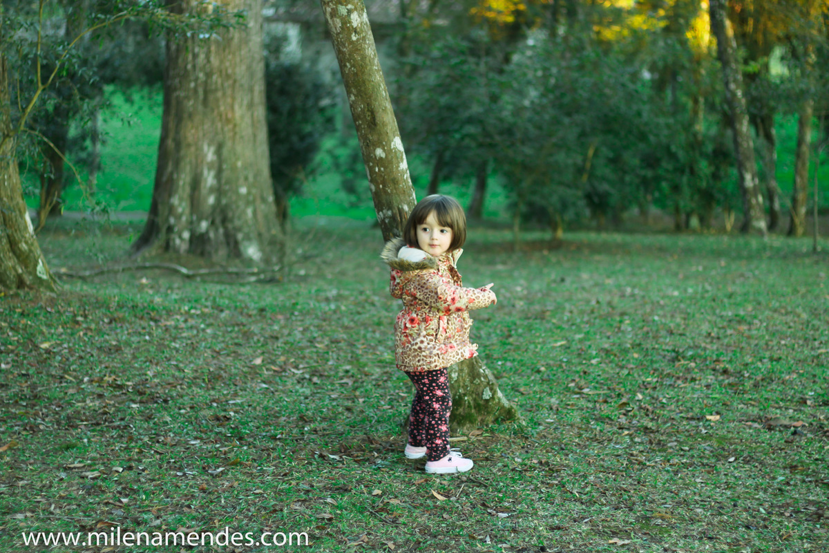 Book infantil Curitiba Milena Mendes