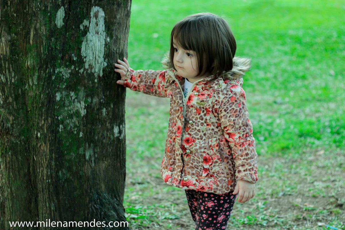 Book infantil Curitiba Milena Mendes