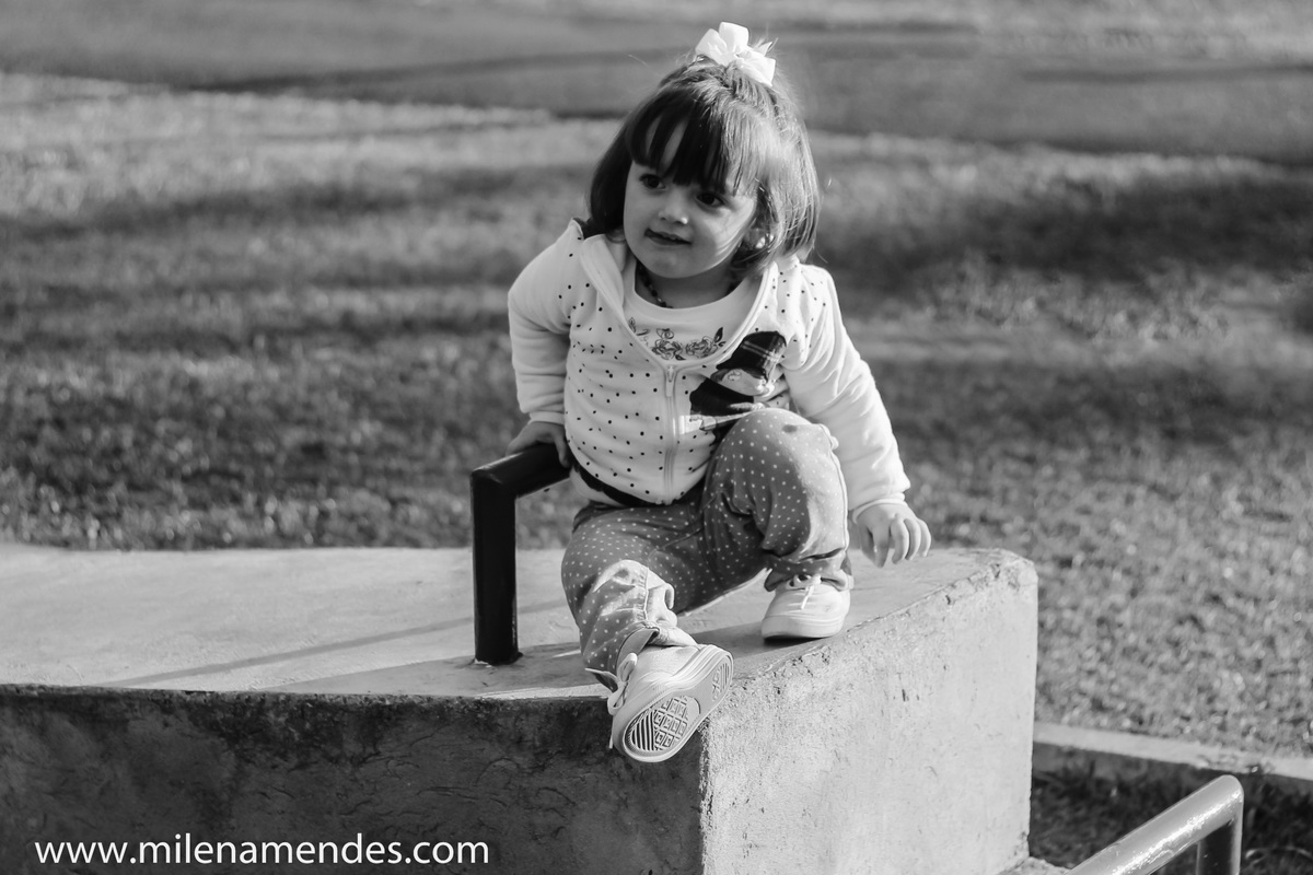 Book infantil Curitiba Milena Mendes