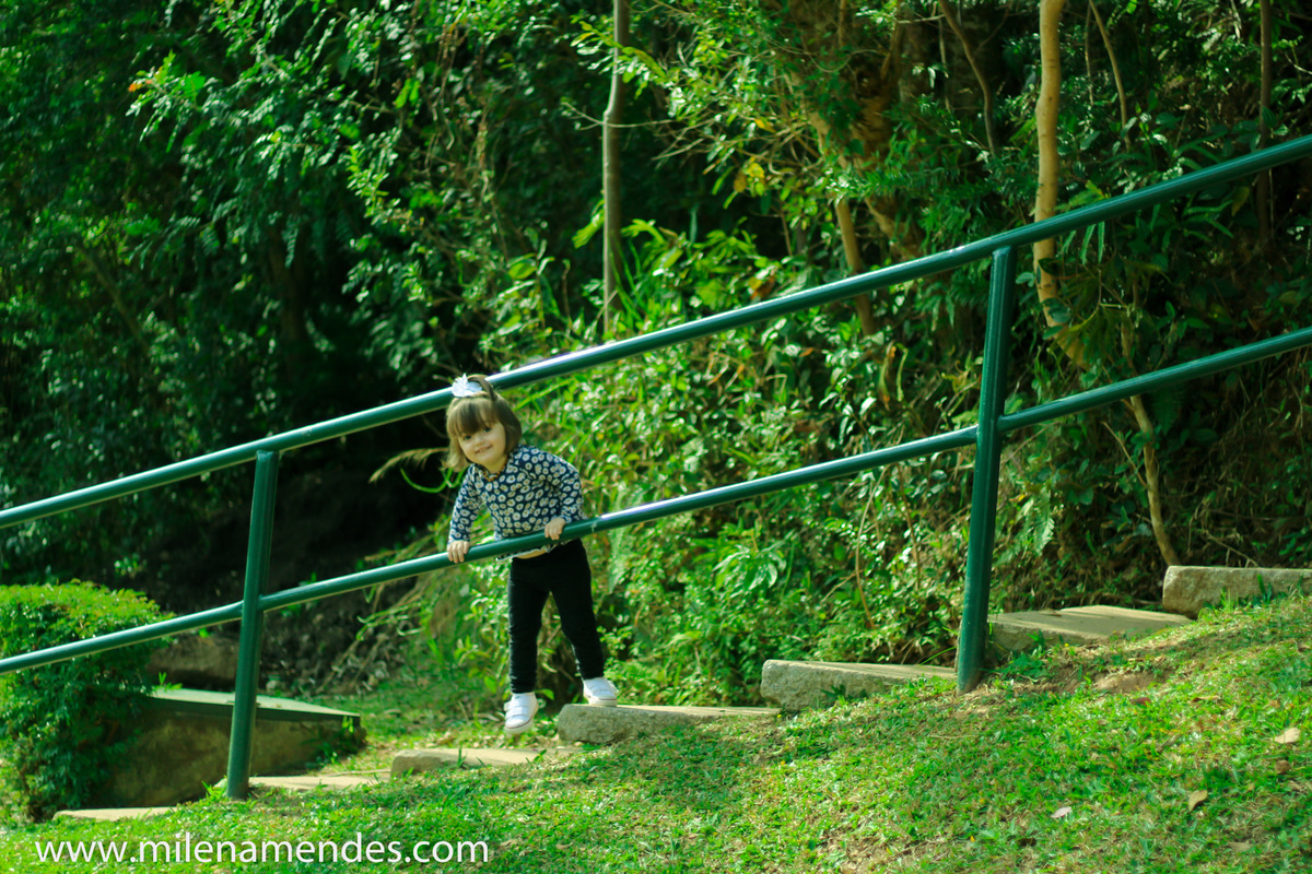 Book infantil Curitiba Milena Mendes