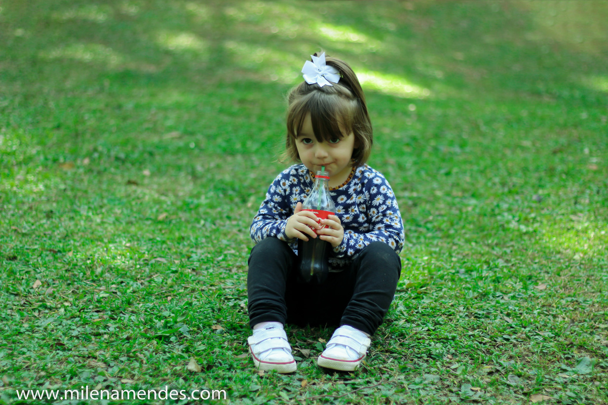 Book infantil Curitiba Milena Mendes