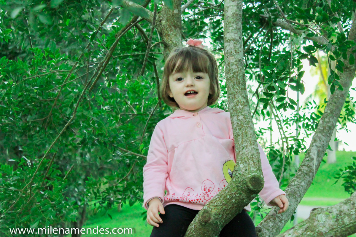 Book infantil Curitiba Milena Mendes