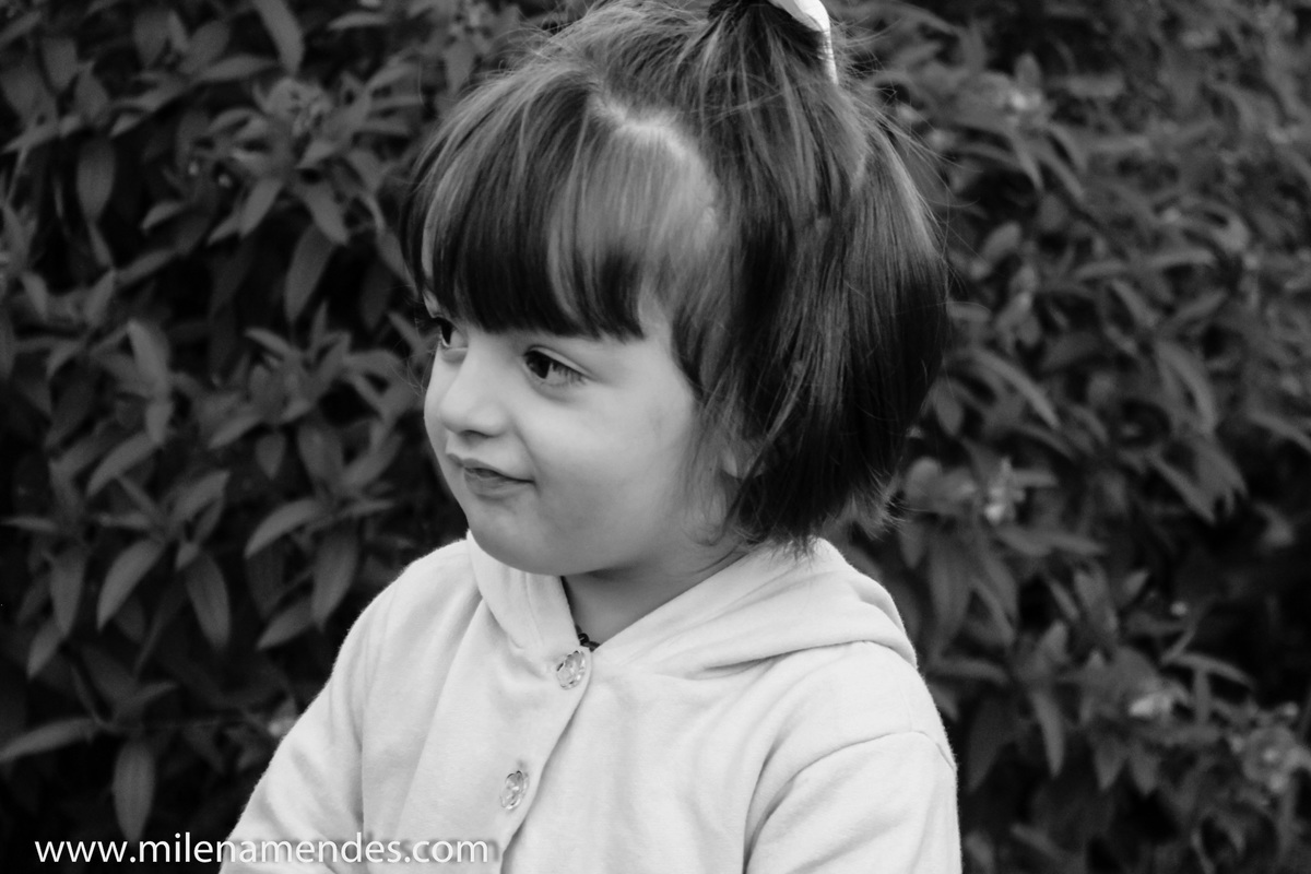 Book infantil Curitiba Milena Mendes