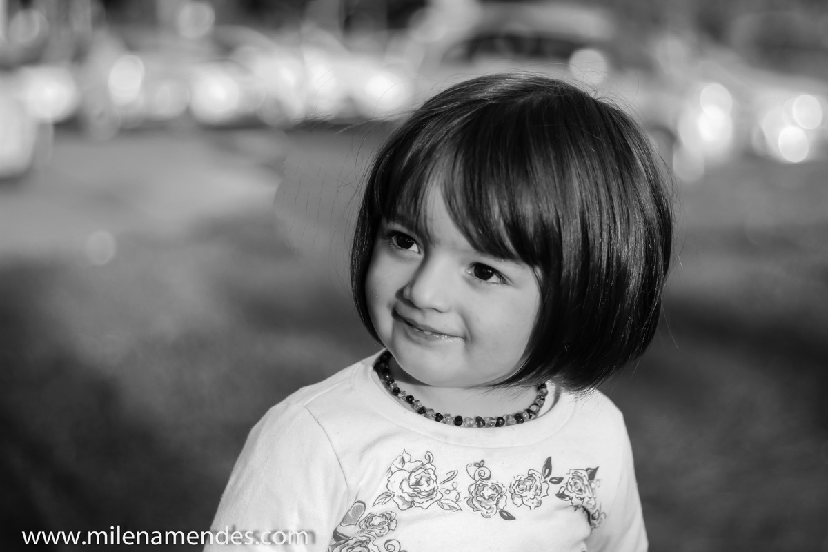 Book infantil Curitiba Milena Mendes